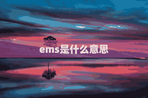 ems是什么意思